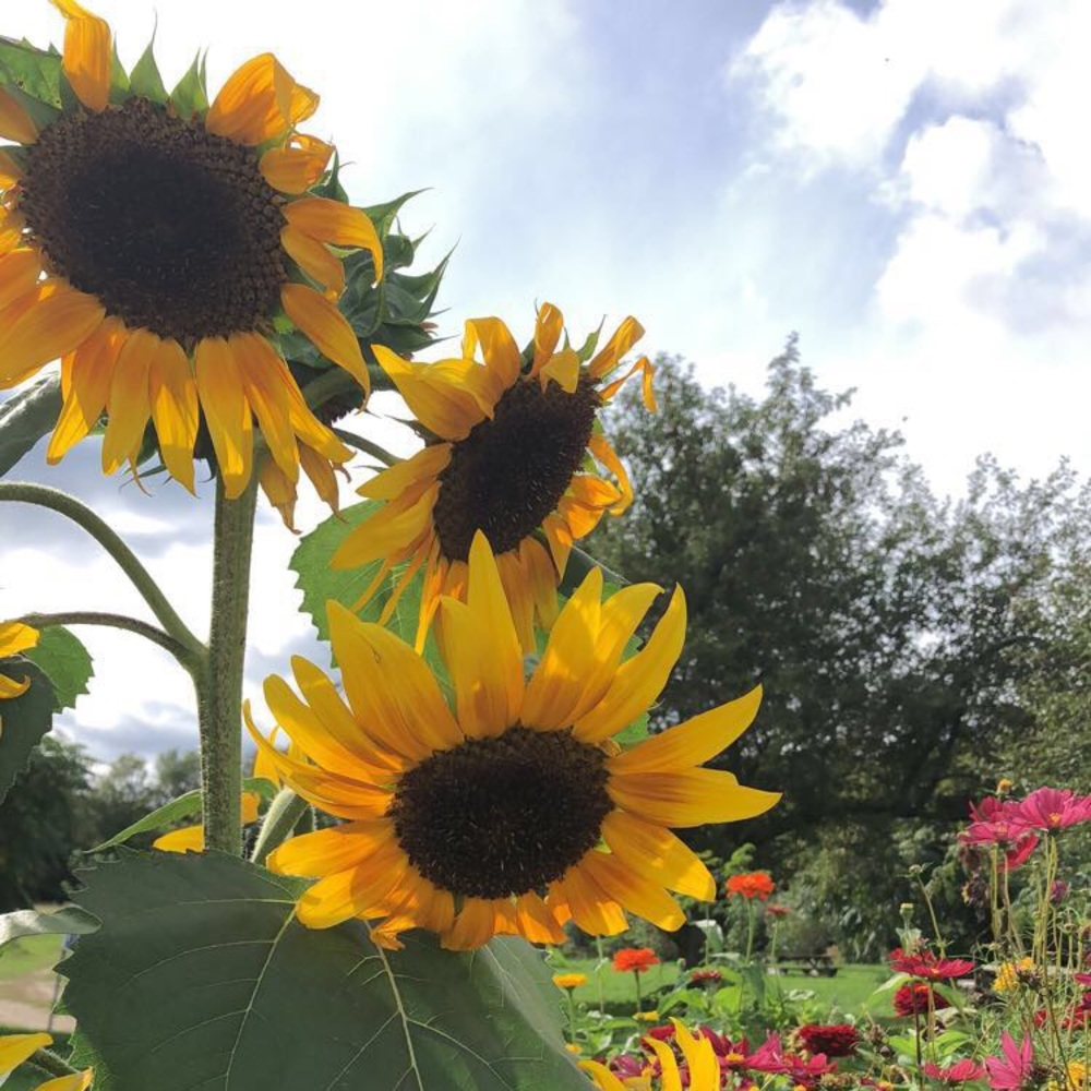 Meet your Posher, Michele